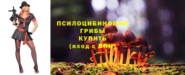 бошки Дмитровск