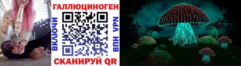 Купить  Кашин  Псилоцибиновые грибы ЛСД 
